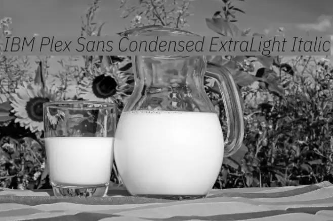 IBM Plex Sans Condensed ExtraLight Italic examples