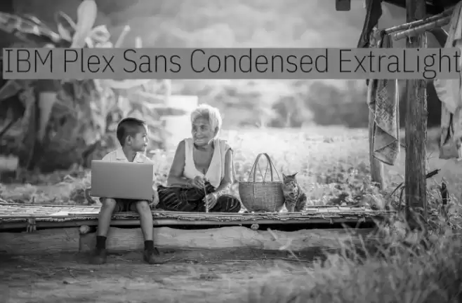 IBM Plex Sans Condensed ExtraLight Font examples
