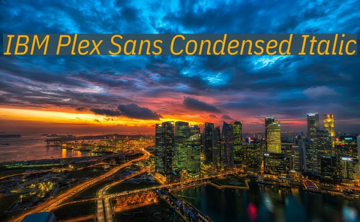 IBM Plex Sans Condensed Italic Font examples