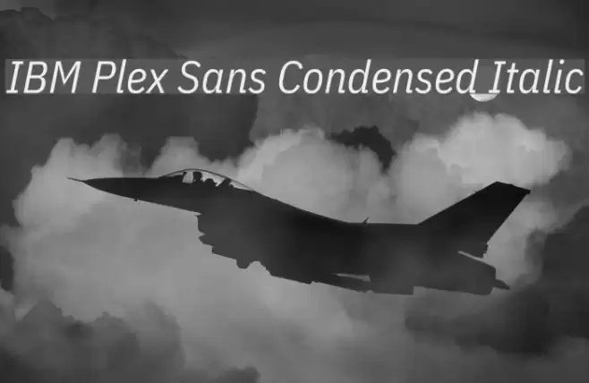 IBM Plex Sans Condensed Italic Font examples