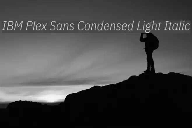 IBM Plex Sans Condensed Light Italic フォント examples
