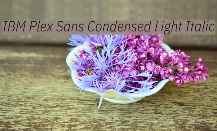 IBM Plex Sans Condensed Light Italic Font examples
