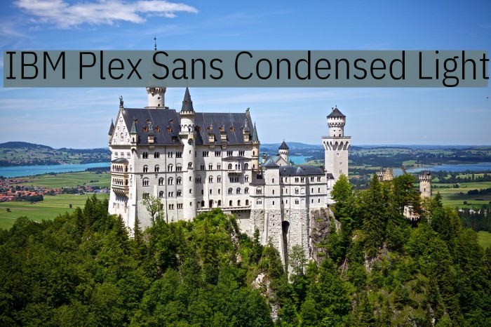 IBM Plex Sans Condensed Light Font examples