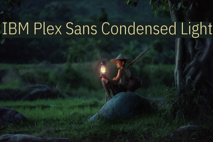 IBM Plex Sans Condensed Light Font examples