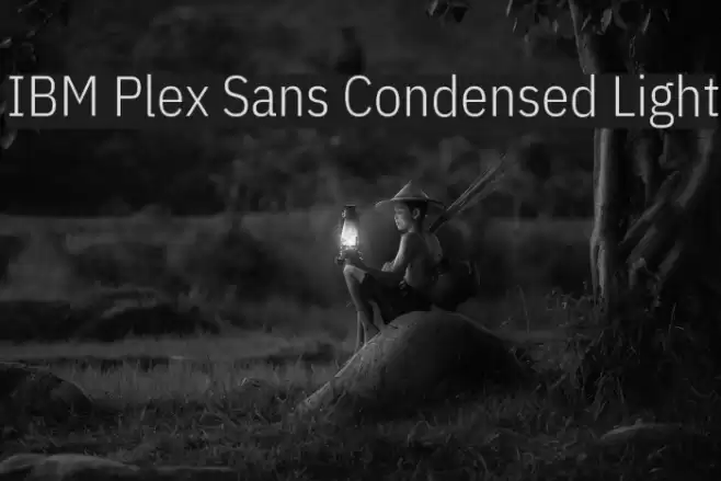 IBM Plex Sans Condensed Light  examples