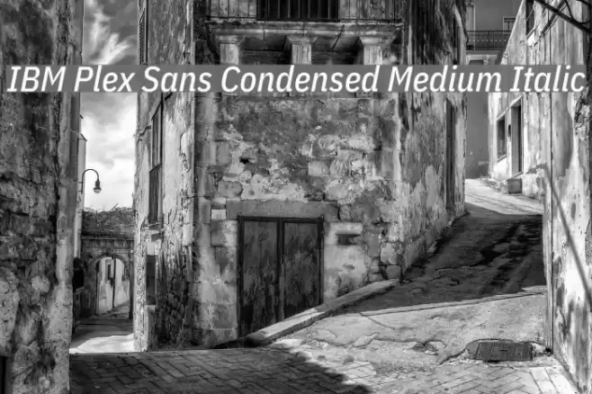 IBM Plex Sans Condensed Medium Italic Font examples