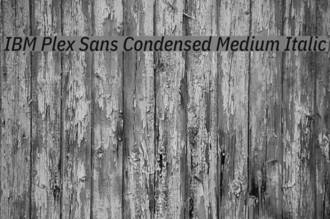 IBM Plex Sans Condensed Medium Italic Font examples