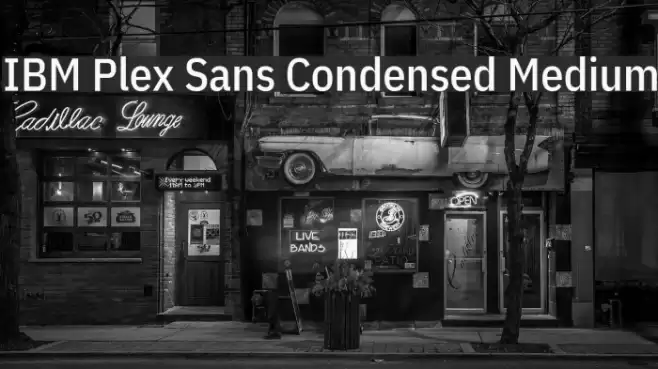 IBM Plex Sans Condensed Medium Font examples