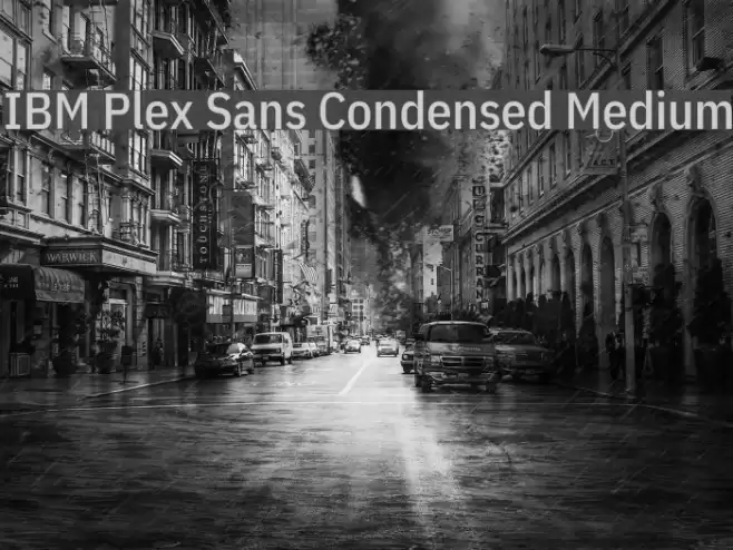 IBM Plex Sans Condensed Medium Font examples