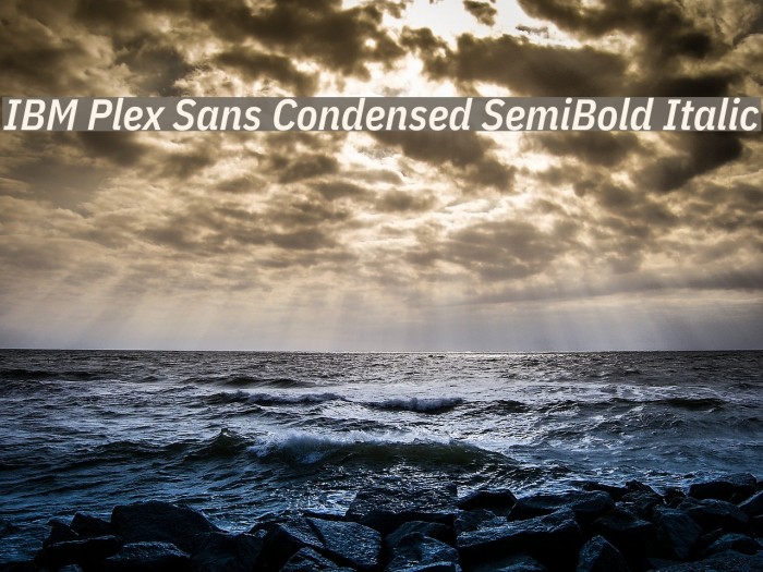 IBM Plex Sans Condensed SemiBold Italic Font examples