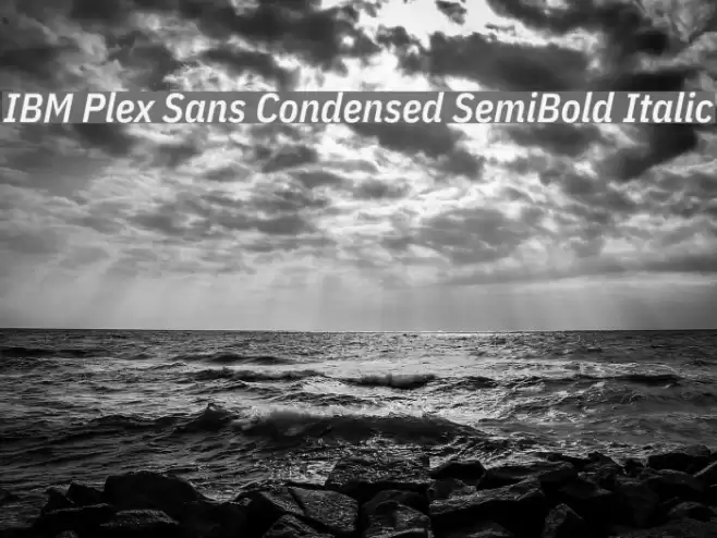 IBM Plex Sans Condensed SemiBold Italic フォント examples