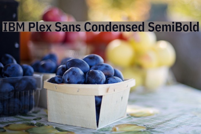 IBM Plex Sans Condensed SemiBold Font examples