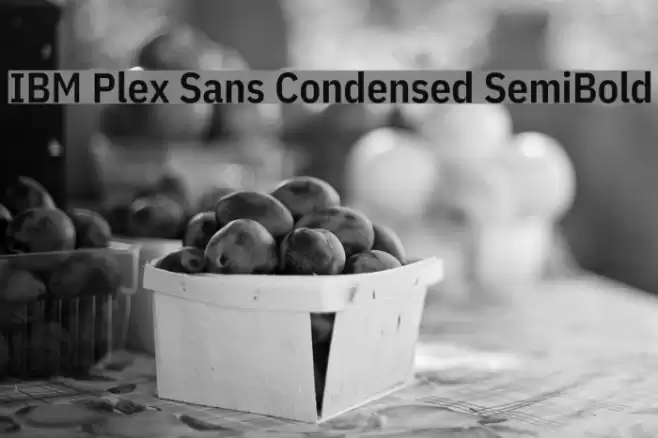 IBM Plex Sans Condensed SemiBold  examples