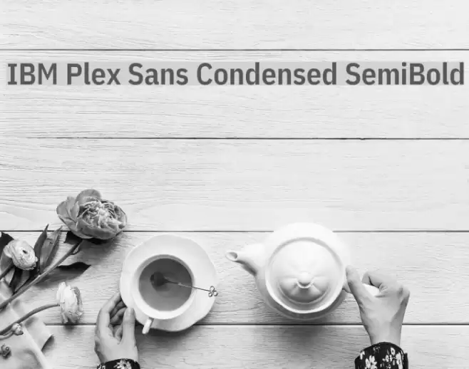 IBM Plex Sans Condensed SemiBold  examples