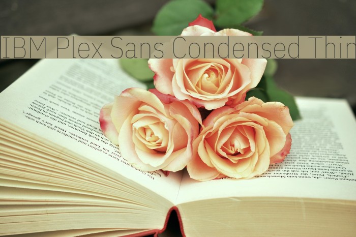 IBM Plex Sans Condensed Thin Font examples