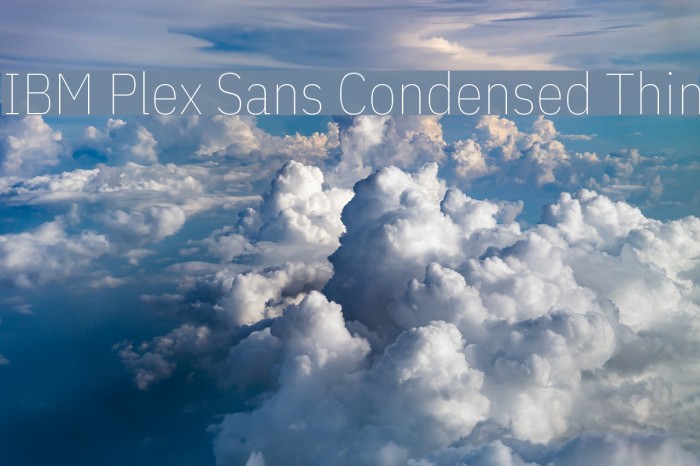 IBM Plex Sans Condensed Thin Font examples