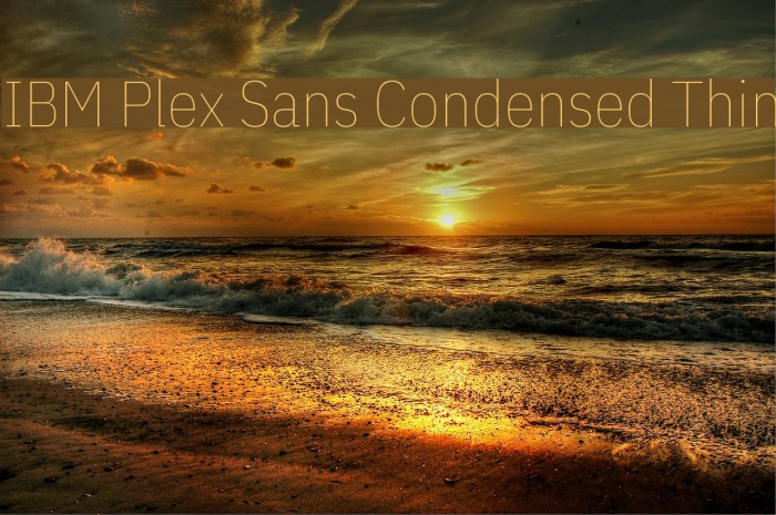 IBM Plex Sans Condensed Thin Font examples