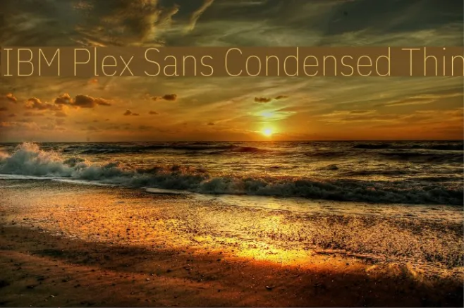 IBM Plex Sans Condensed Thin Example 3