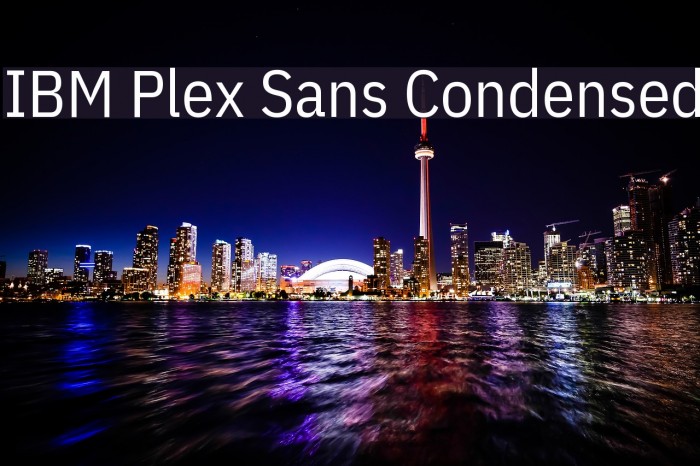 IBM Plex Sans Condensed Font examples