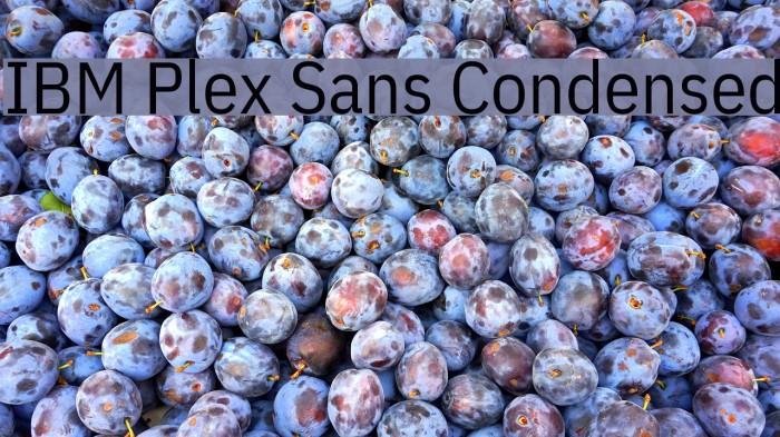 IBM Plex Sans Condensed Font examples