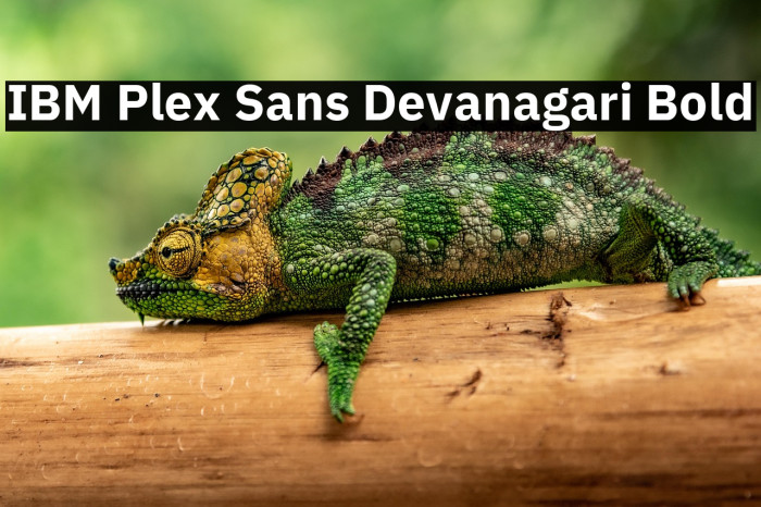 IBM Plex Sans Devanagari Bold Example 1