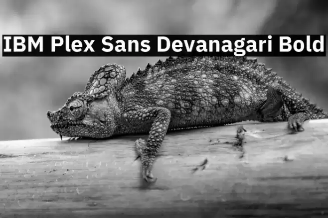 IBM Plex Sans Devanagari Bold Font examples