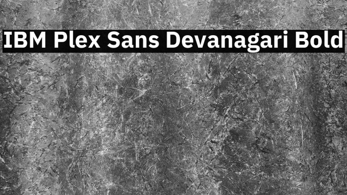 IBM Plex Sans Devanagari Bold Example 2