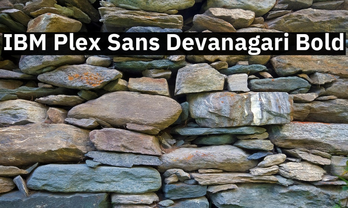 IBM Plex Sans Devanagari Bold Example 3
