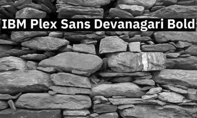 IBM Plex Sans Devanagari Bold Font examples