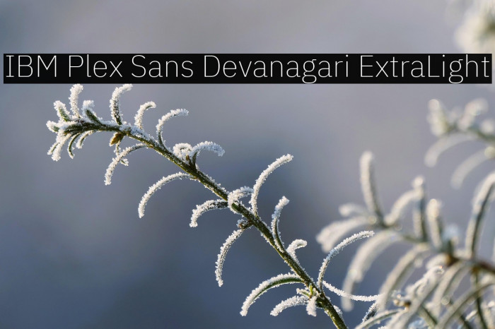 IBM Plex Sans Devanagari ExtraLight Example 2