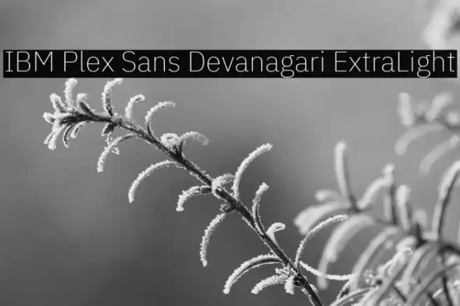 IBM Plex Sans Devanagari ExtraLight Font examples