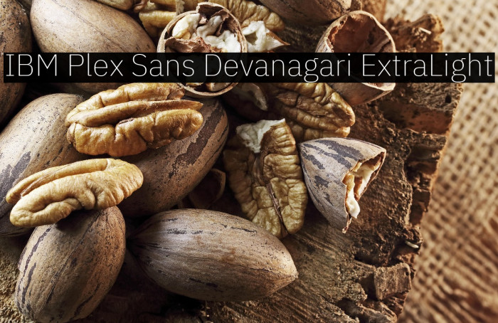 IBM Plex Sans Devanagari ExtraLight Example 3