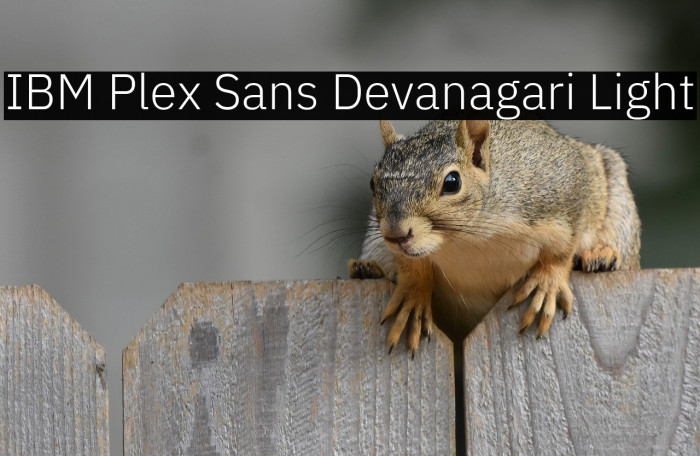 IBM Plex Sans Devanagari Light Example 2