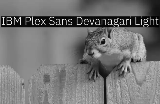 IBM Plex Sans Devanagari Light Font examples