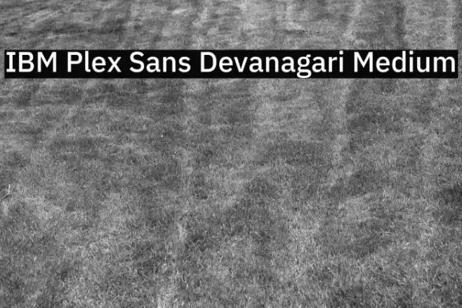 IBM Plex Sans Devanagari Medium Font examples