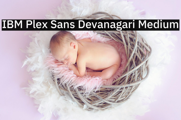 IBM Plex Sans Devanagari Medium Example 3