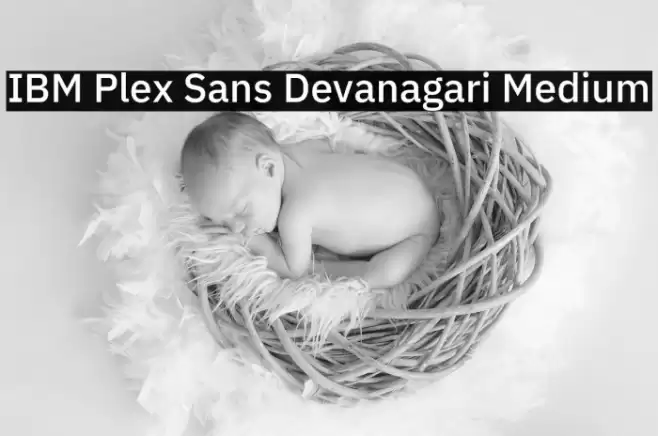 IBM Plex Sans Devanagari Medium Font examples
