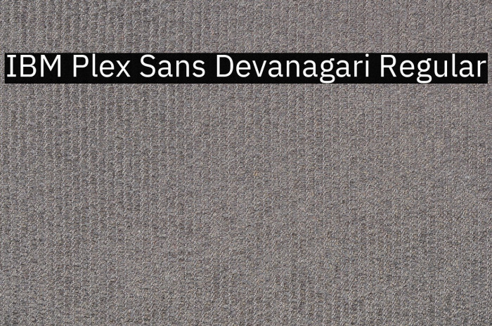 IBM Plex Sans Devanagari Regular Example 1