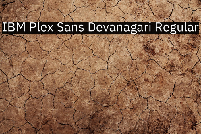 IBM Plex Sans Devanagari Regular Example 2
