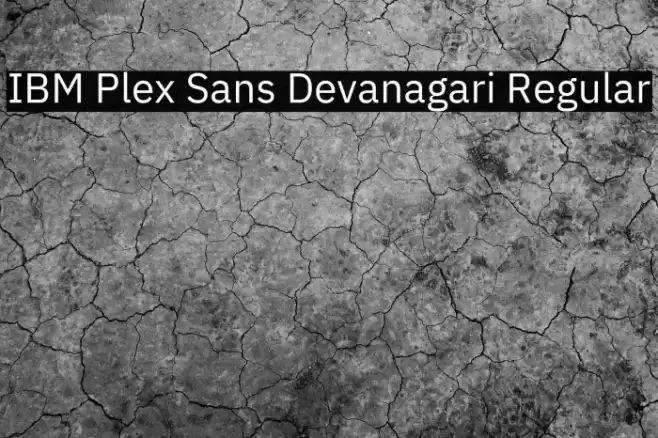 IBM Plex Sans Devanagari Regular Font examples