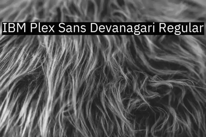 IBM Plex Sans Devanagari Regular Font examples