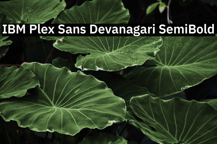 IBM Plex Sans Devanagari SemiBold Example 3