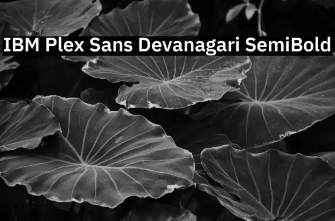 IBM Plex Sans Devanagari SemiBold Font examples