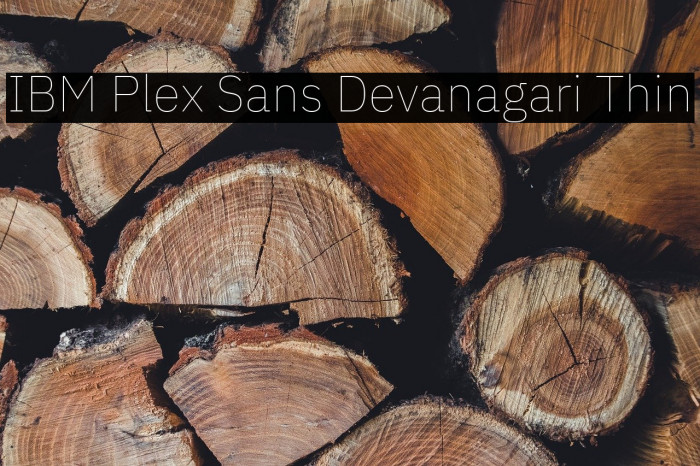 IBM Plex Sans Devanagari Thin Example 1