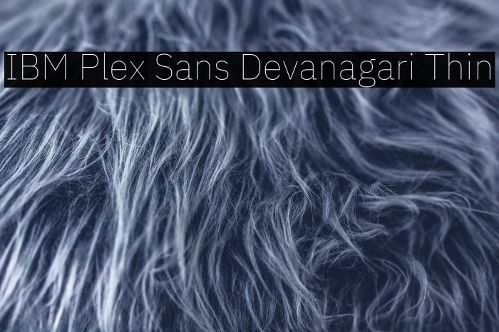 IBM Plex Sans Devanagari Thin Example 2