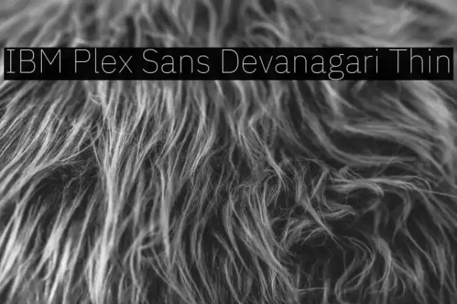 IBM Plex Sans Devanagari Thin Font examples