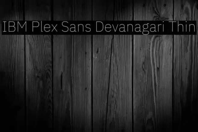 IBM Plex Sans Devanagari Thin Font examples