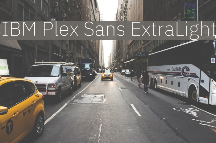 IBM Plex Sans ExtraLight Font examples