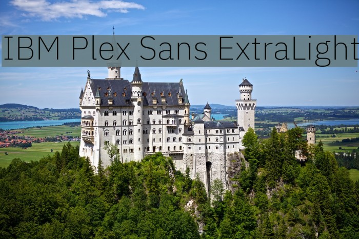 IBM Plex Sans ExtraLight Font examples