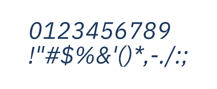 IBM Plex Sans Italic Other Characters